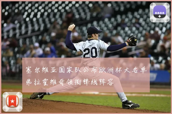 塞尔维亚国家队公布欧洲杯大名单弗拉霍维奇领衔锋线阵容