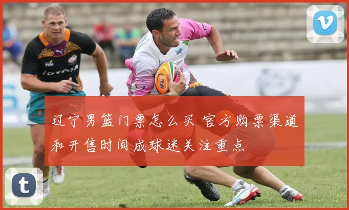 辽宁男篮门票怎么买 官方购票渠道和开售时间成球迷关注重点