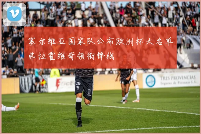 塞尔维亚国家队公布欧洲杯大名单弗拉霍维奇领衔锋线