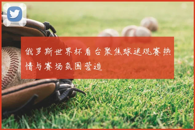 俄罗斯世界杯看台聚焦球迷观赛热情与赛场氛围营造