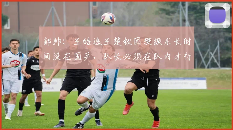 郝帅:王皓选王楚钦因樊振东长时间没在国乒,队长必须在队内才行
