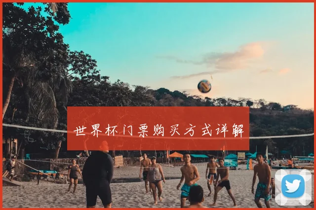 世界杯门票购买方式详解