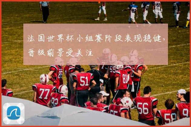 法国世界杯小组赛阶段表现稳健,晋级前景受关注