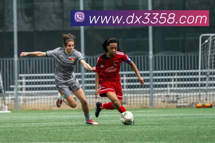 星空软件官网品牌故事